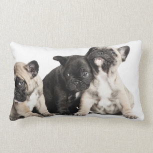 Coussin Rectangle Trois Carlins