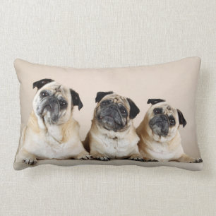 Coussin Rectangle Trois Carlins De Ligne