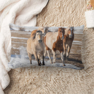 Coussin Rectangle Troupeau de Chevaux de race mixte courant dans la