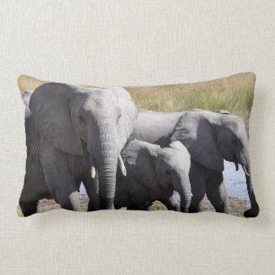 Coussin Rectangle Troupeaux d'éléphant de l'Afrique