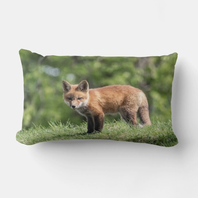 Coussin Rectangle Trousse Red Fox (Recto)