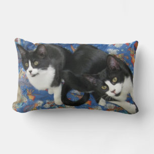 Coussin Rectangle Twin Tuxedo Kittens Jeu d'oreiller