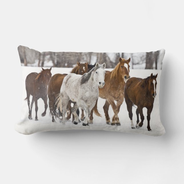 Coussin Rectangle Un hiver pittoresque de course (Recto)