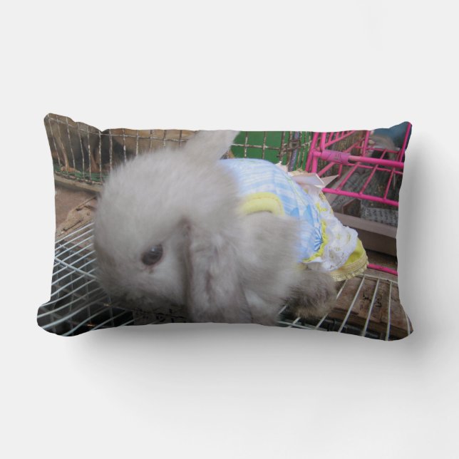 Coussin Rectangle Un lapin en robe (Recto)