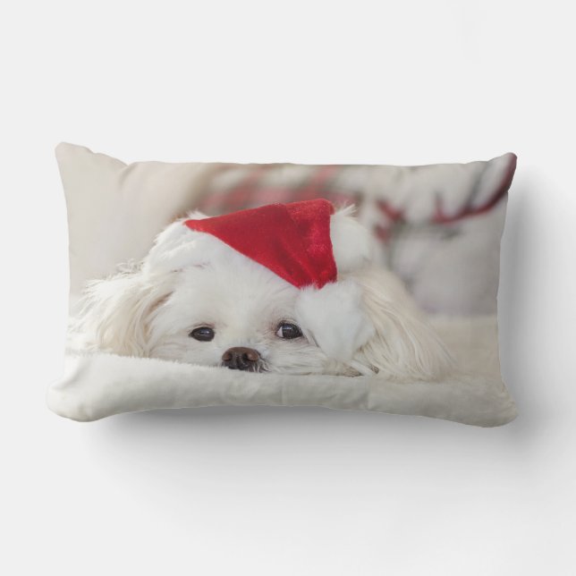 Coussin Rectangle Un mignon chien blanc dans un Casquette de Noël ro (Recto)