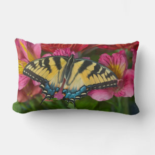 Coussin Rectangle Un papillon swallowtail tigre