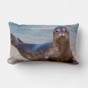 Coussin Rectangle Un phoque sur une plage le long de la côte Pacifiq