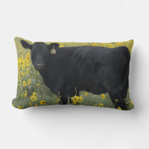 Coussin Rectangle Un veau au milieu des tournesols du Nebraska