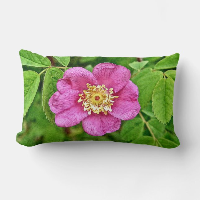 Coussin Rectangle Une Rose Sauvage (Recto)