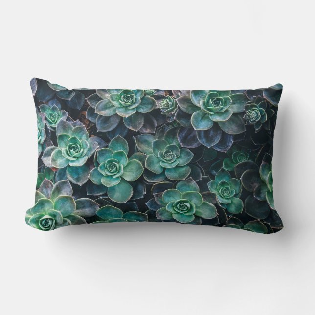 Coussin Rectangle Usines succulentes vert-bleu de détente de cactus (Recto)