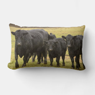 Coussin Rectangle Vaches sous la pluie