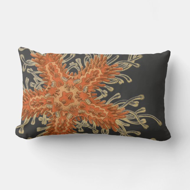 Coussin Rectangle Vie marine de cru de Haeckel (Recto)