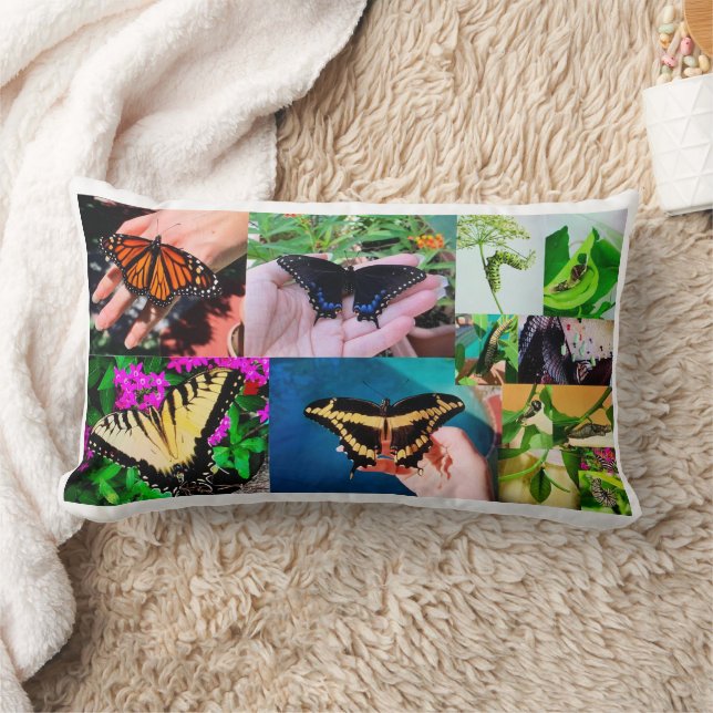Coussin Rectangle Vie papillon (Couverture)