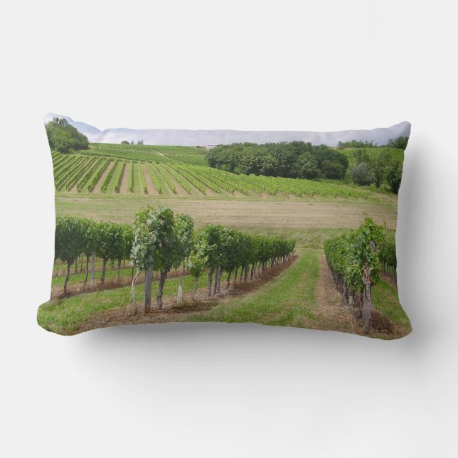 Coussin Rectangle Vineyard - Vignoble (Bordeaux - France) 03 (Recto)