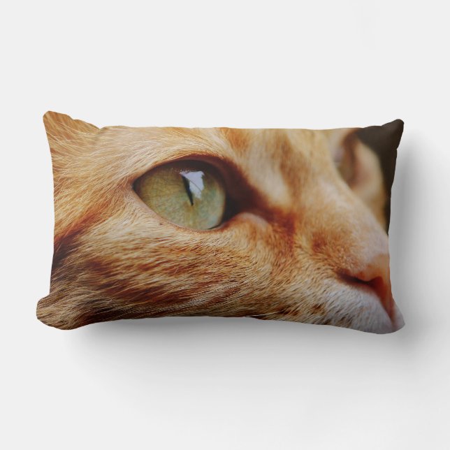 Coussin Rectangle Visage déterminé d'un chat de gingembre (Recto)