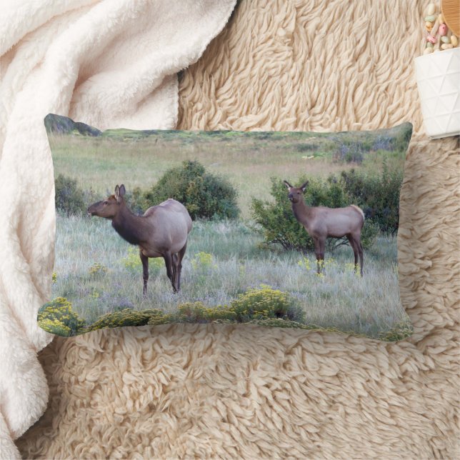 Coussin Rectangle Wapiti d'Amérique | Colorado (Couverture)