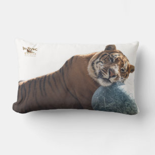 Coussin Rectangle Zachariah a ton dos