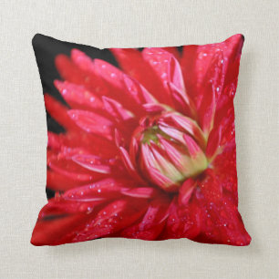 Coussin Red Cactus Dahlia