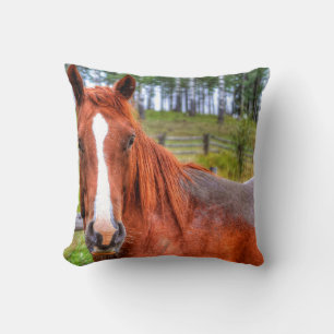 Coussin Red Dun Ranch Horse Amateur d'animaux Photo 2