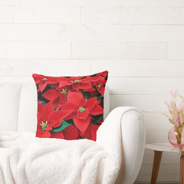 Coussin Red Poinsettia Holiday (Canapé)