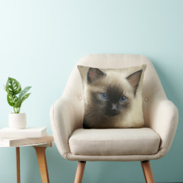 Coussin Regard D'Innocence Siamese Kitten Portrait