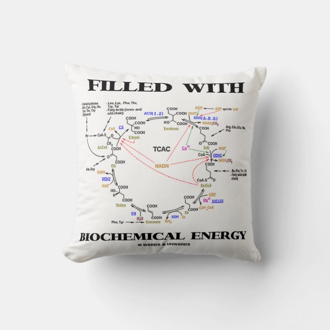 Coussin Rempli de l'énergie biochimique (cycle de Krebs) (Recto)