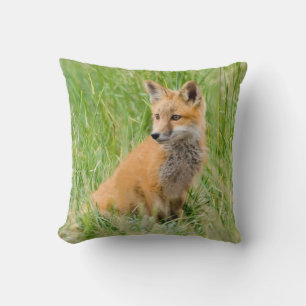 Coussin Renardeau roux dans l'herbe près de la tanière