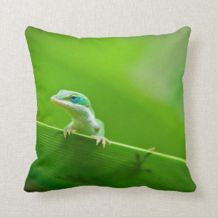 Coussin Rencontre du lézard vert
