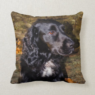 Coussin renversant d'épagneul
