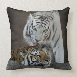 Coussin Repos blanc et Brown de tigres