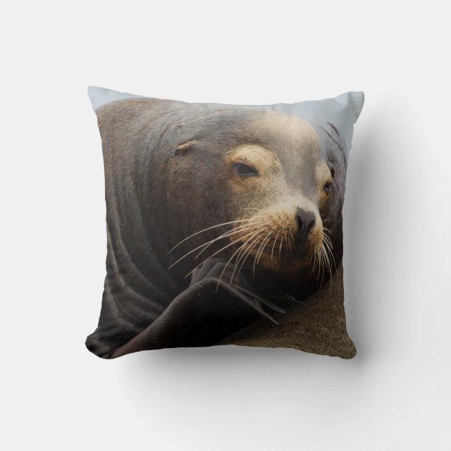 Coussin Repos de Lion de la mer de Californie (Recto)
