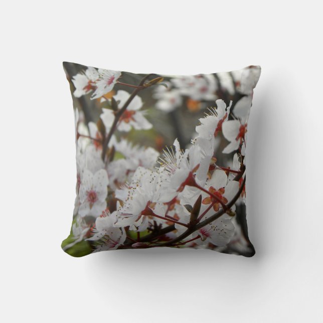 Coussin Ressort à Canberra double face (Recto)