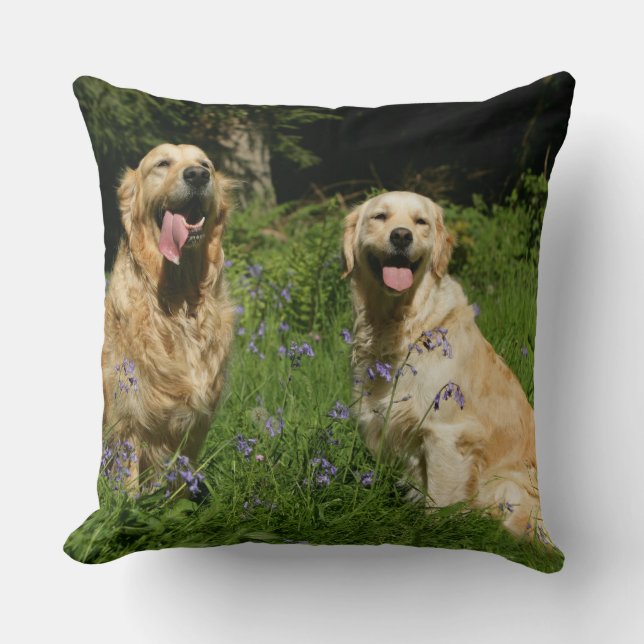 Coussin Retreivers d'or dans l'herbe (Recto)