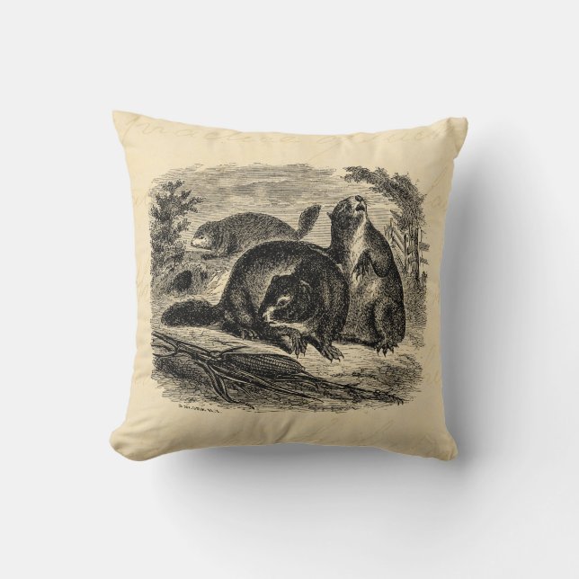 Coussin Rétro modèle de marmottes d'Amérique de marmotte (Recto)