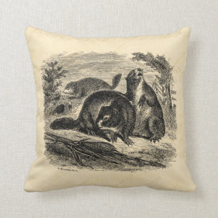 Coussin Rétro modèle de marmottes d'Amérique de marmotte