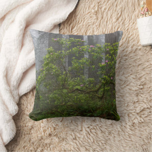 Coussin Rhododendron dans le parc national de Redwood en C