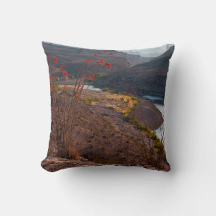 Coussin Rio Grande traversant le désert de Chihuahuan