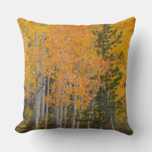 Coussin Rivière Provo et trembles