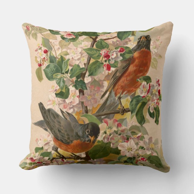 Coussin Robins 1896 (Recto)