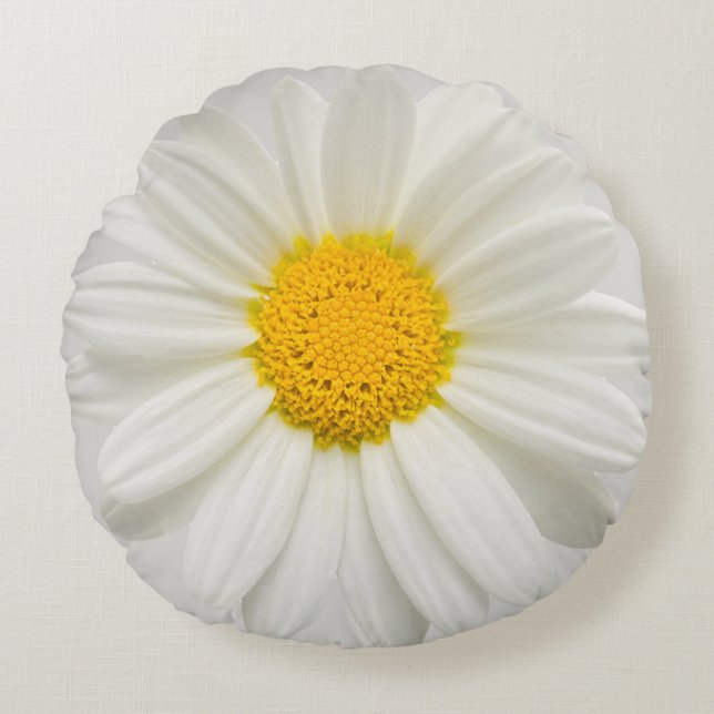 Coussin rond de marguerite des prés de (Devant)