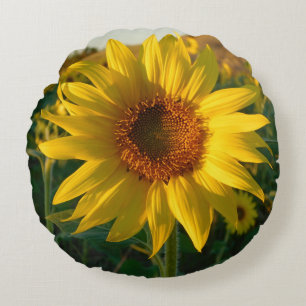 Coussin rond de tournesol d'été