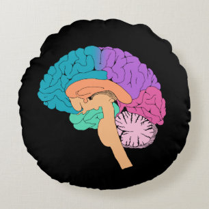 Coussin rond demi-cerveau scientifique