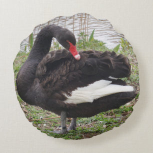 Coussin rond du cygne noir