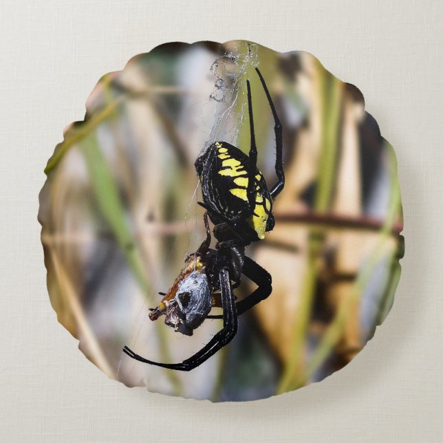 Coussin rond noir et jaune d'araignée de jardin (Devant)