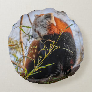 Coussin rond panda rouge