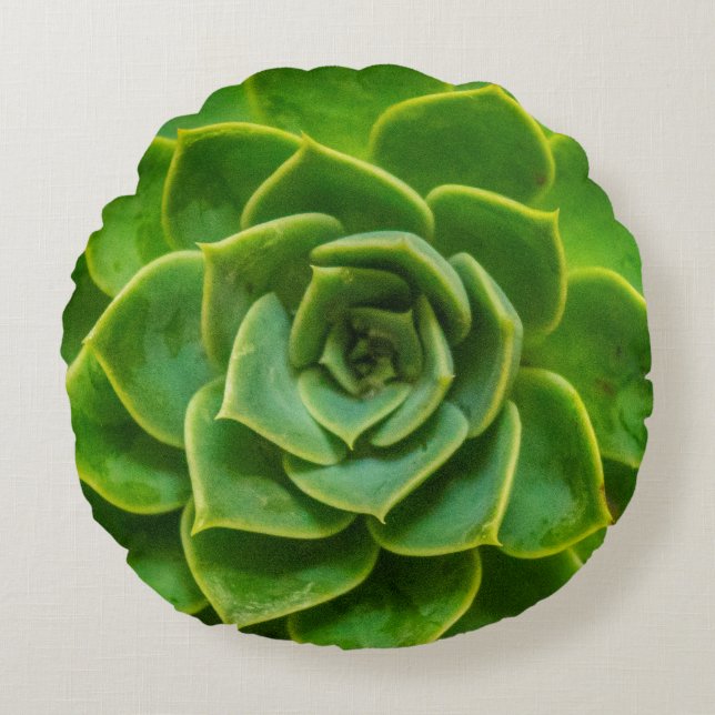 Coussin rond succulent d'Echeveria (Devant)