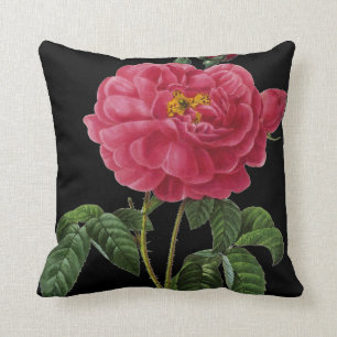 Coussin Rosa Gallica