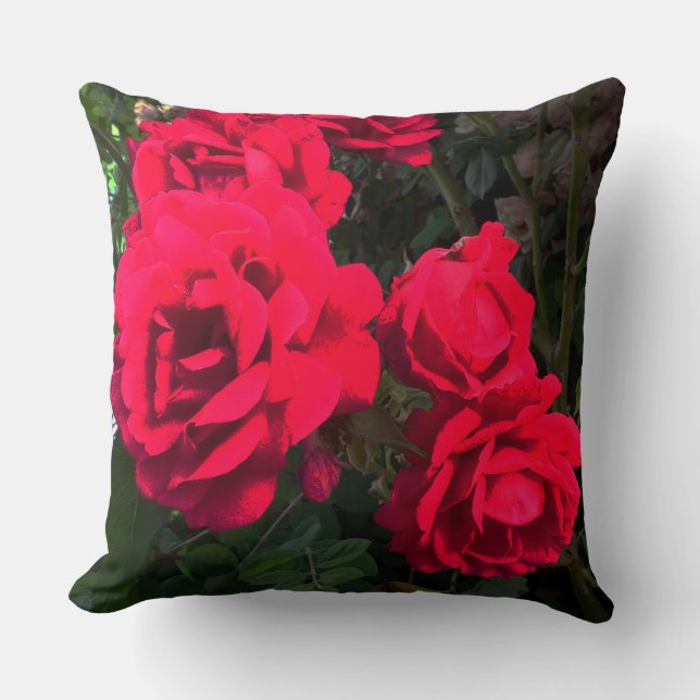 Coussin Rosarium de Red Roses (Recto)