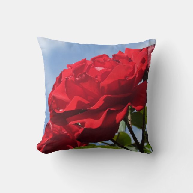 Coussin Rose (Recto)