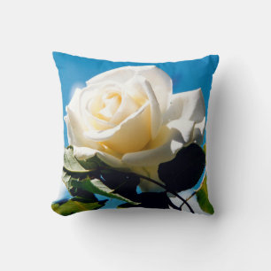 Coussin Rose blanche sous ciel bleu